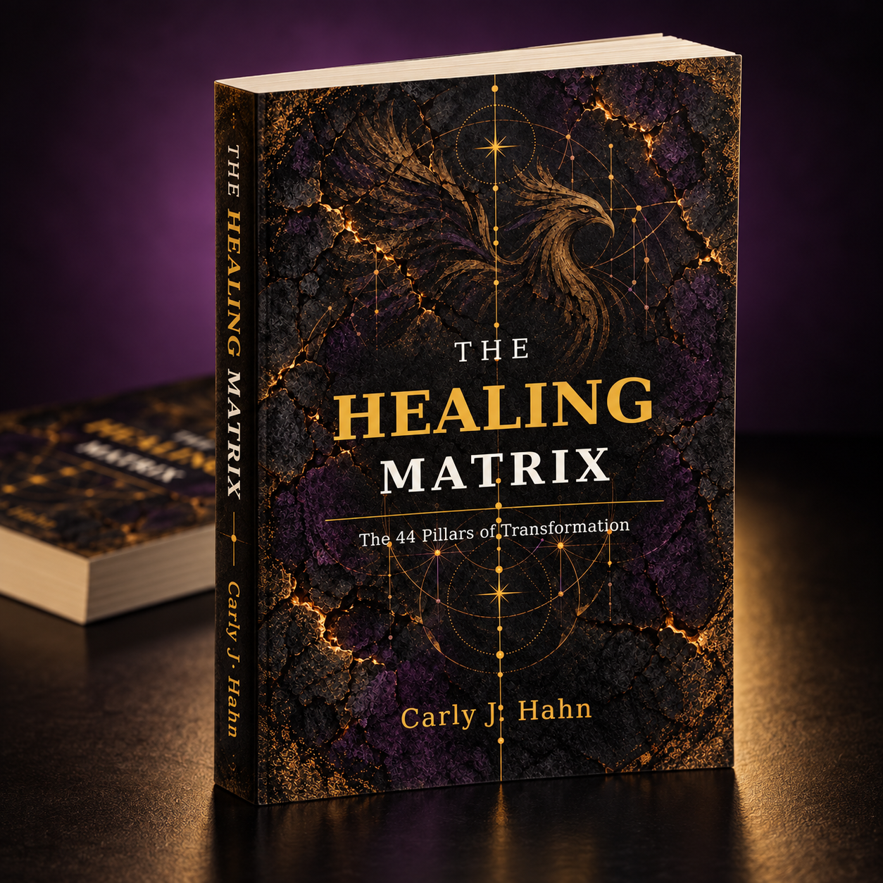Image of The Healing Matrix: The 44 Pillars of Transformation (Paperback)