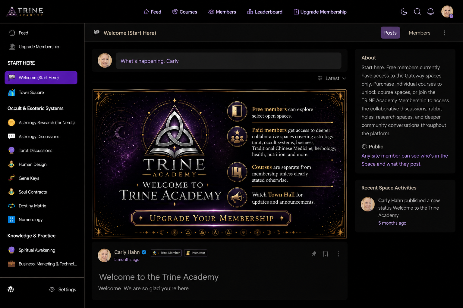 trine academy project